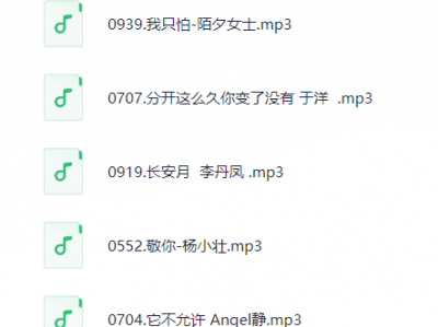 02网络流行歌曲500首(1)