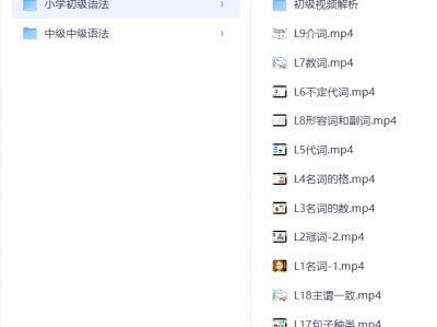语法训练营【初级+中级 视频课】