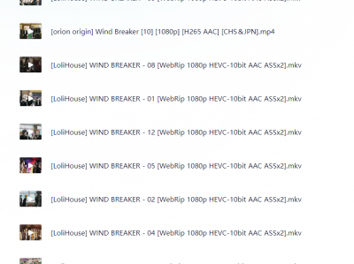 防风少年 (WIND BREAKER)