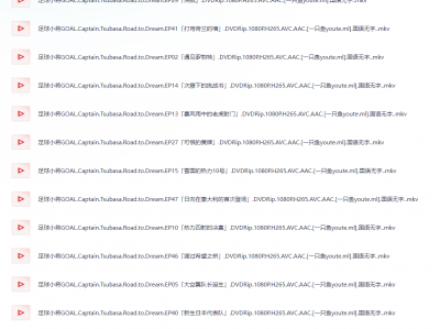 2001.足球小将GOAL!.52集全