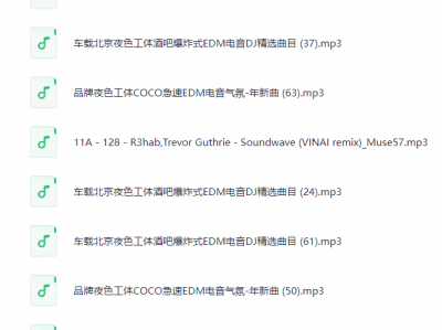 10抖音热播流行工体嗨曲-修改音质版