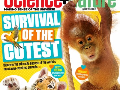 青少年科学自然月刊The Week Junior Science+Nature 2022-2023年全年