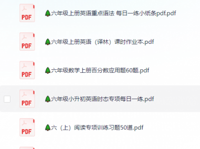 🌲六年级上册各类资料(小纸条 知识点 默写单)