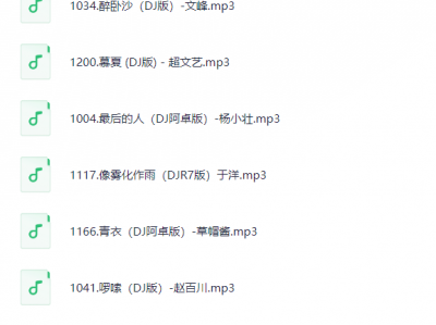 03流行中文DJ250首