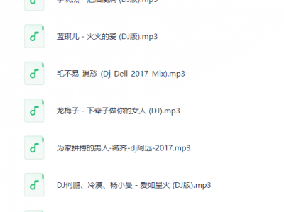 09抖音热播中文热舞DJ-修改音质版