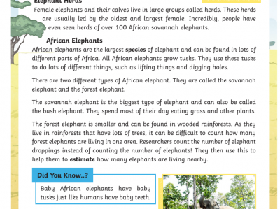  宝藏英文教学素材 Twinkl 77篇阅读理解练习纸（1000多页）+答案合集