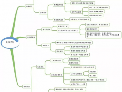 初中道德与法制思维导图（共23页）
