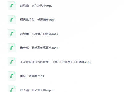 02抖音快手流行中文-不改音响提升数倍